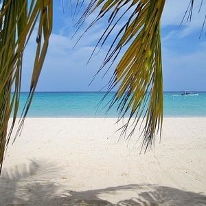 Meet your Posher, Robin